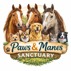 Paws Manes Sanctuary Animal Sanctuary